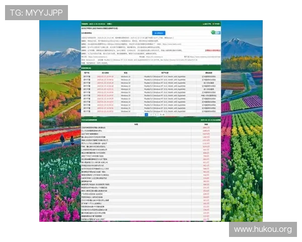 K8在线入口常见登录问题及解决方案，快速排除登录障碍
